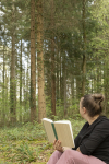 Wald_001.jpg